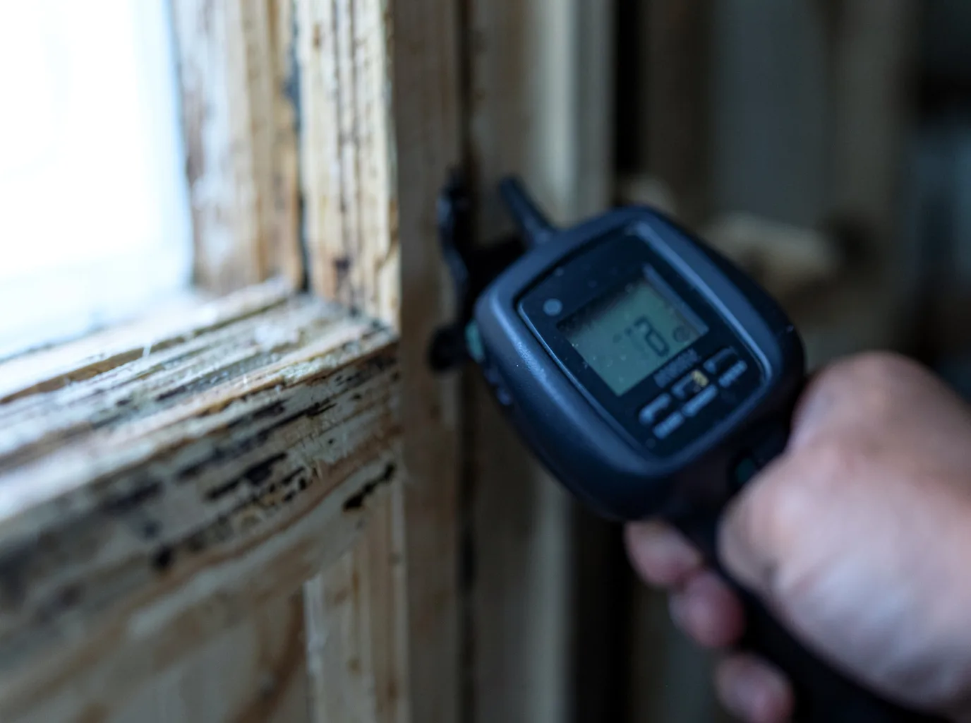 Water Damage Restoration Ferndale, CA FAQs